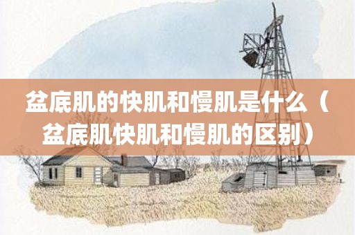 盆底肌的快肌和慢肌是什么（盆底肌快肌和慢肌的区别）