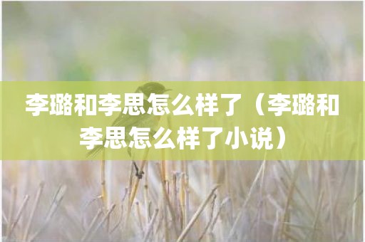 李璐和李思怎么样了（李璐和李思怎么样了小说）