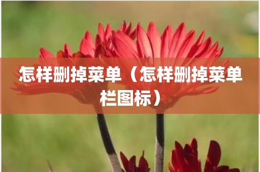 怎样删掉菜单（怎样删掉菜单栏图标）