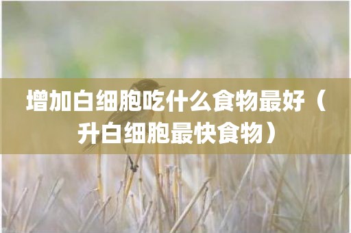 增加白细胞吃什么食物最好（升白细胞最快食物）