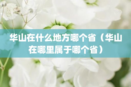 华山在什么地方哪个省（华山在哪里属于哪个省）