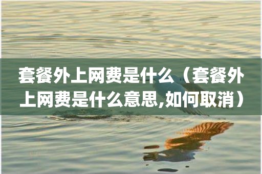 套餐外上网费是什么（套餐外上网费是什么意思,如何取消）