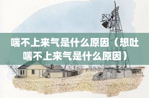 喘不上来气是什么原因（想吐喘不上来气是什么原因）