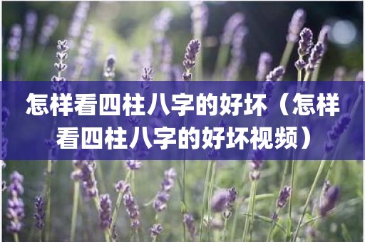 怎样看四柱八字的好坏（怎样看四柱八字的好坏视频）