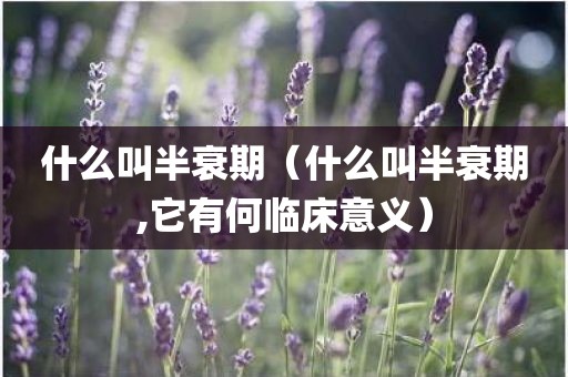 什么叫半衰期(什么叫半衰期,它有何临床意义) 什么叫半衰期(什么叫半衰期,它有何临床意义)