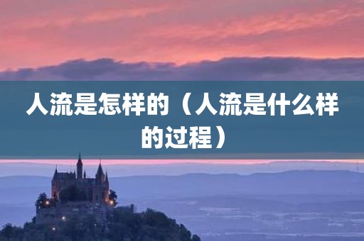 人流是怎样的（人流是什么样的过程）