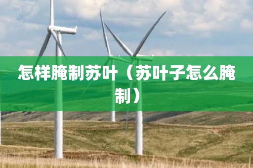 怎样腌制苏叶（苏叶子怎么腌制）