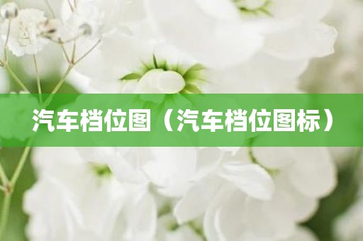 汽车档位图（汽车档位图标）