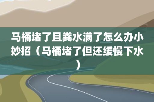 马桶堵了且粪水满了怎么办小妙招（马桶堵了但还缓慢下水）
