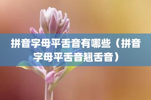 拼音字母平舌音有哪些（拼音字母平舌音翘舌音）