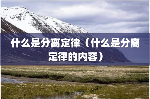 什么是分离定律（什么是分离定律的内容）