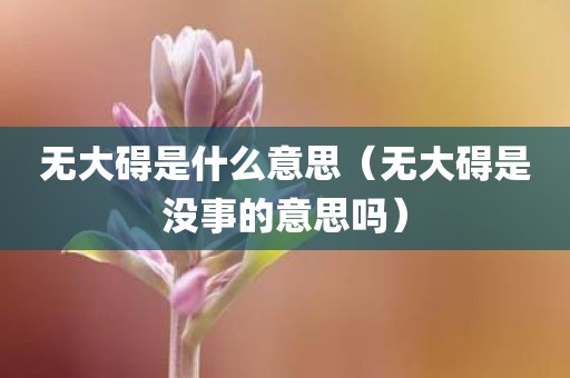 无大碍是什么意思（无大碍是没事的意思吗）
