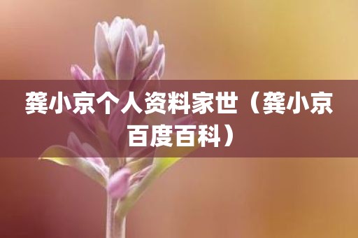 龚小京个人资料家世（龚小京百度百科）
