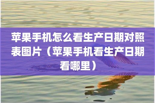 苹果手机怎么看生产日期对照表图片（苹果手机看生产日期看哪里）