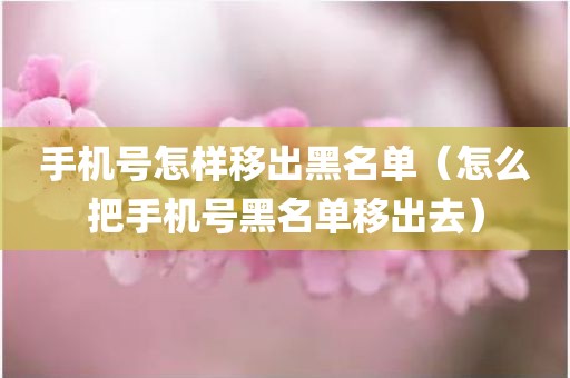 手机号怎样移出黑名单（怎么把手机号黑名单移出去）