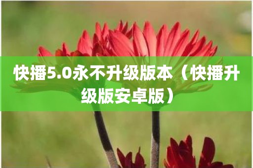 快播5.0永不升级版本（快播升级版安卓版）