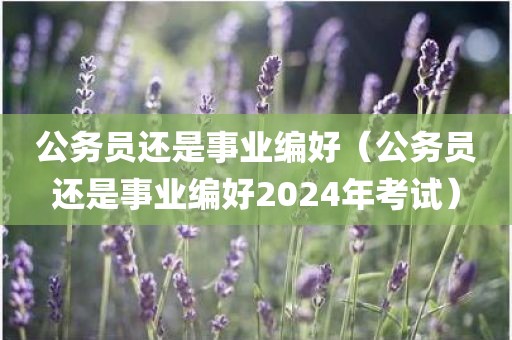 公务员还是事业编好（公务员还是事业编好2024年考试）
