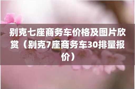 别克七座商务车价格及图片欣赏(别克7座商务车30排量报价) 别克七座商务车价格及图片欣赏(别克7座商务车30排量报价)