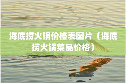 海底捞火锅价格表图片（海底捞火锅菜品价格）