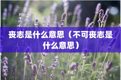 丧志是什么意思（不可丧志是什么意思）