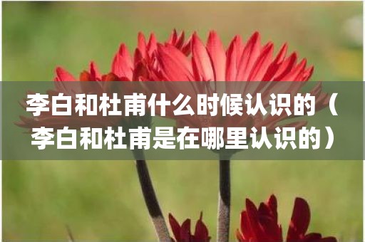 李白和杜甫什么时候认识的（李白和杜甫是在哪里认识的）