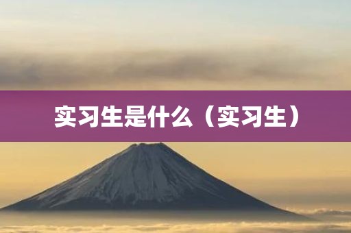 实习生是什么（实习生）