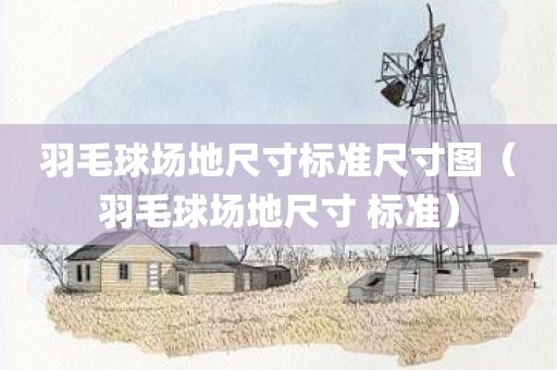 羽毛球场地尺寸标准尺寸图（羽毛球场地尺寸 标准）