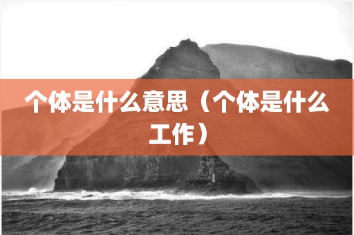 个体是什么意思（个体是什么工作）