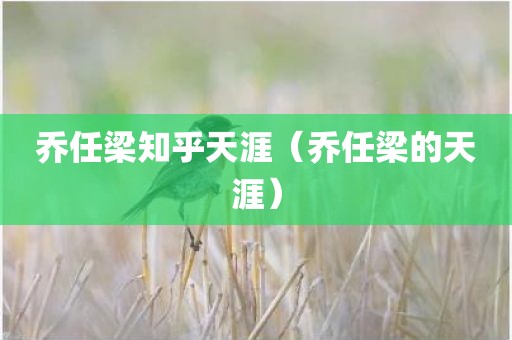 乔任梁知乎天涯（乔任梁的天涯）