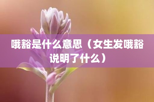哦豁是什么意思（女生发哦豁说明了什么）