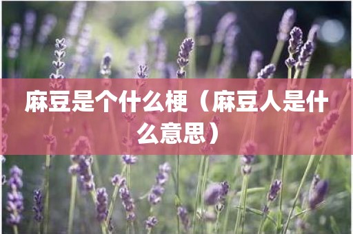 麻豆是个什么梗(麻豆人是什么意思)