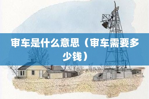 审车是什么意思（审车需要多少钱）