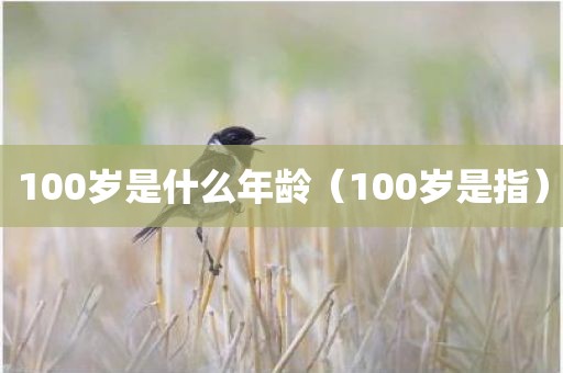 100岁是什么年龄（100岁是指）