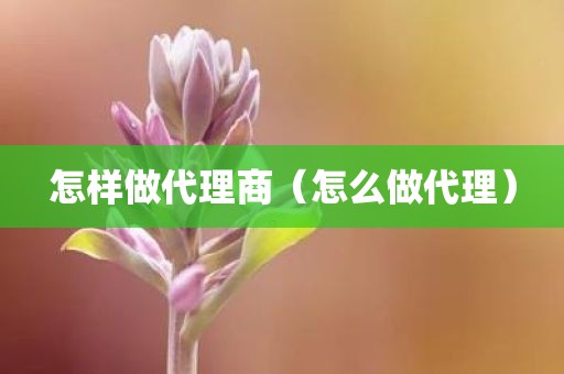 怎样做代理商（怎么做代理）