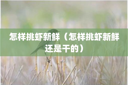 怎样挑虾新鲜(怎样挑虾新鲜还是干的)