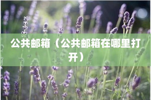 公共邮箱（公共邮箱在哪里打开）