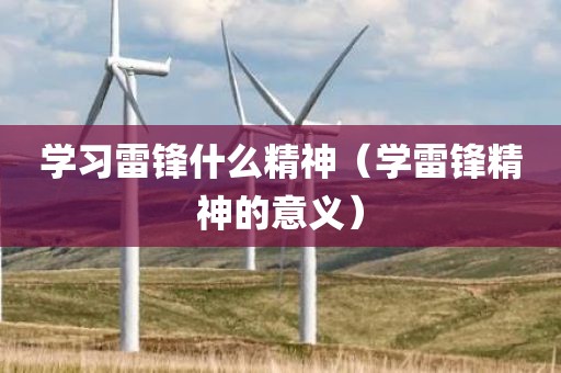 学习雷锋什么精神（学雷锋精神的意义）