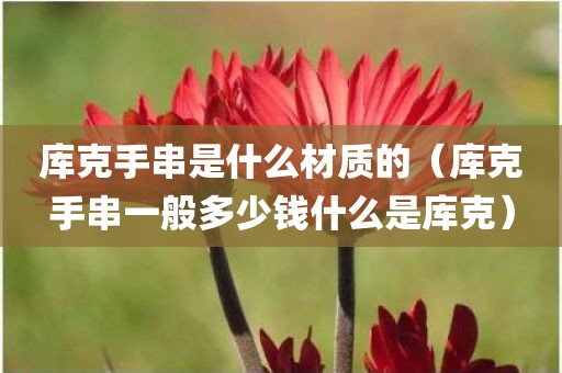 库克手串是什么材质的(库克手串一般多少钱什么是库克)