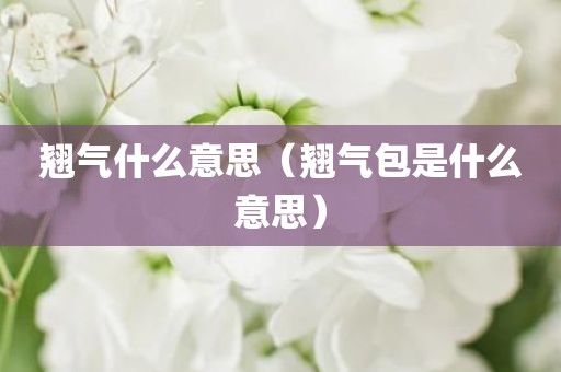 翘气什么意思(翘气包是什么意思)