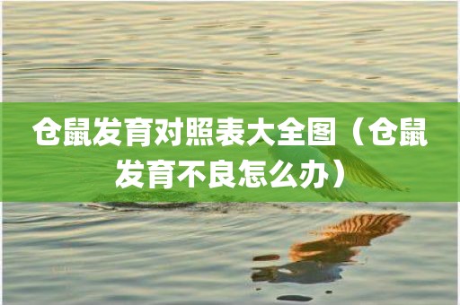 仓鼠发育对照表大全图（仓鼠发育不良怎么办）