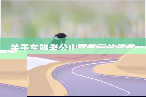 关于车晓老公山西首富的信息