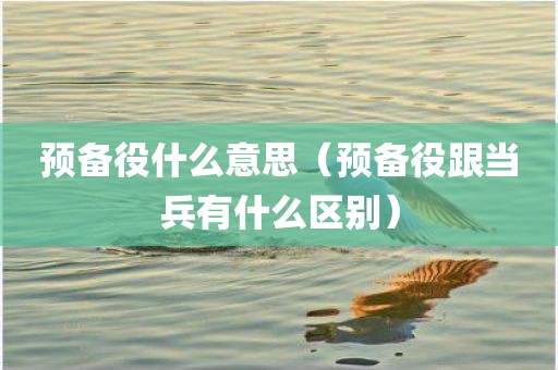 预备役什么意思（预备役跟当兵有什么区别）