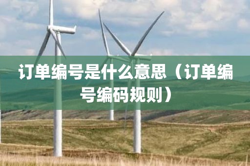 订单编号是什么意思(订单编号编码规则)