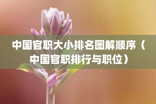 中国官职大小排名图解顺序(中国官职排行与职位) 中国官职大小排名图解顺序(中国官职排行与职位)