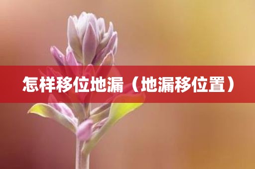 怎样移位地漏（地漏移位置）