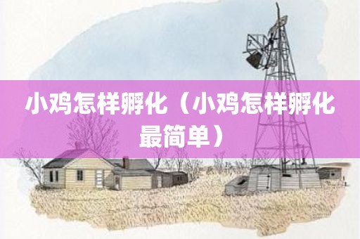 小鸡怎样孵化（小鸡怎样孵化最简单）