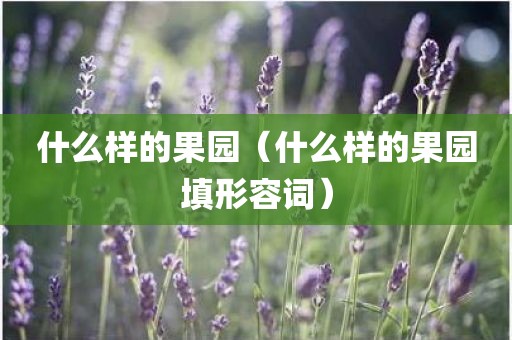 什么样的果园(什么样的果园填形容词)