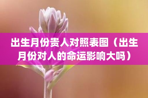 出生月份贵人对照表图（出生月份对人的命运影响大吗）