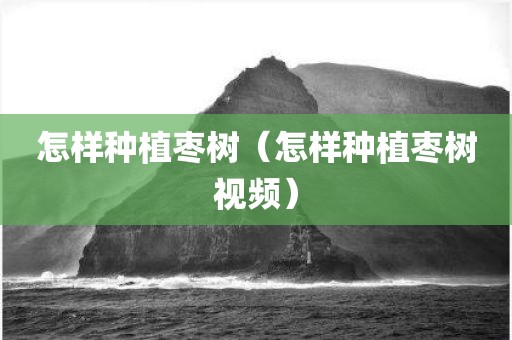 怎样种植枣树（怎样种植枣树视频）