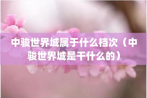 中骏世界城属于什么档次（中骏世界城是干什么的）
